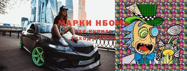 стафф Волосово