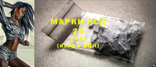 прущие грибы Верхний Тагил