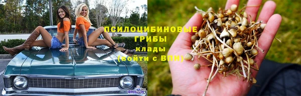 винт Володарск