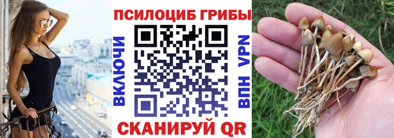 Галлюциногенные грибы ЛСД  Волосово 